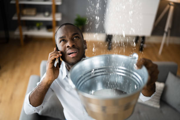 Best Sewage cleanup and water damage restoration  in Orange Park, FL
