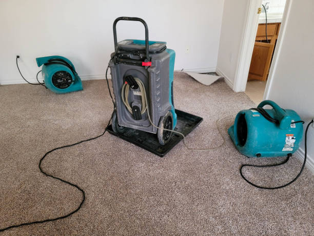 Best Professional water damage repair  in Orange Park, FL