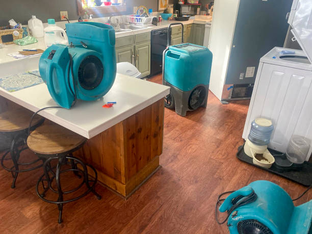 Best Fire Damage Restoration  in Orange Park, FL