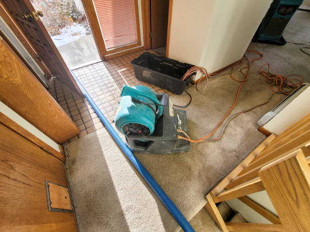 Best Water damage restoration near me  in Orange Park, FL