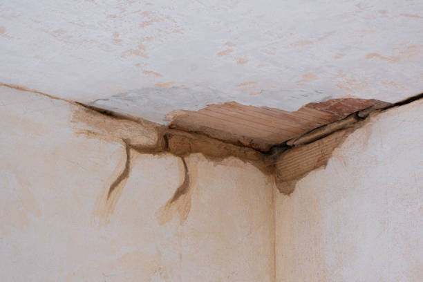 Best Flooded house restoration  in Orange Park, FL