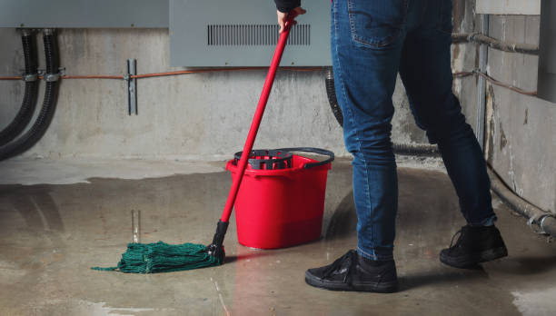 Best Water damage restoration services  in Orange Park, FL