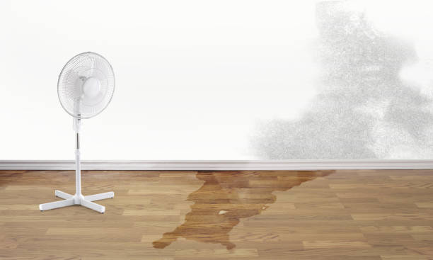 Best Emergency water extraction  in Orange Park, FL