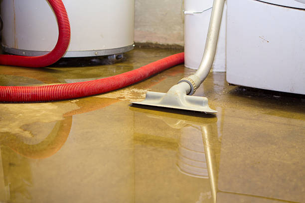 Best Residential water damage restoration  in Orange Park, FL