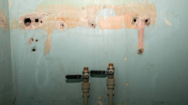 Best Flood damage cleanup  in Orange Park, FL