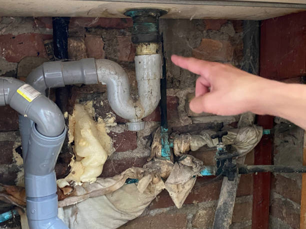 Best Commercial water damage restoration  in Orange Park, FL