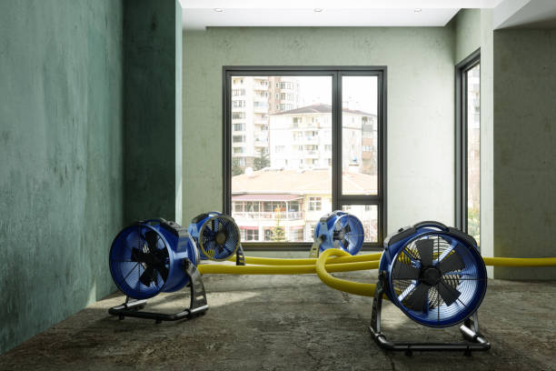 Best Commercial water damage restoration  in Orange Park, FL